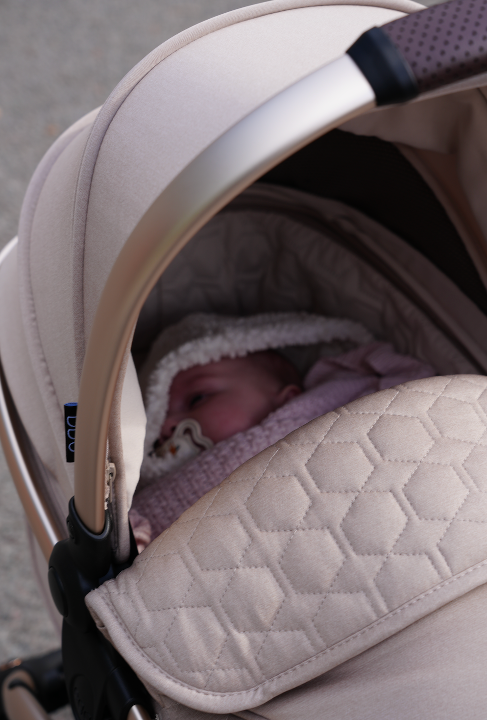 egg Strollers