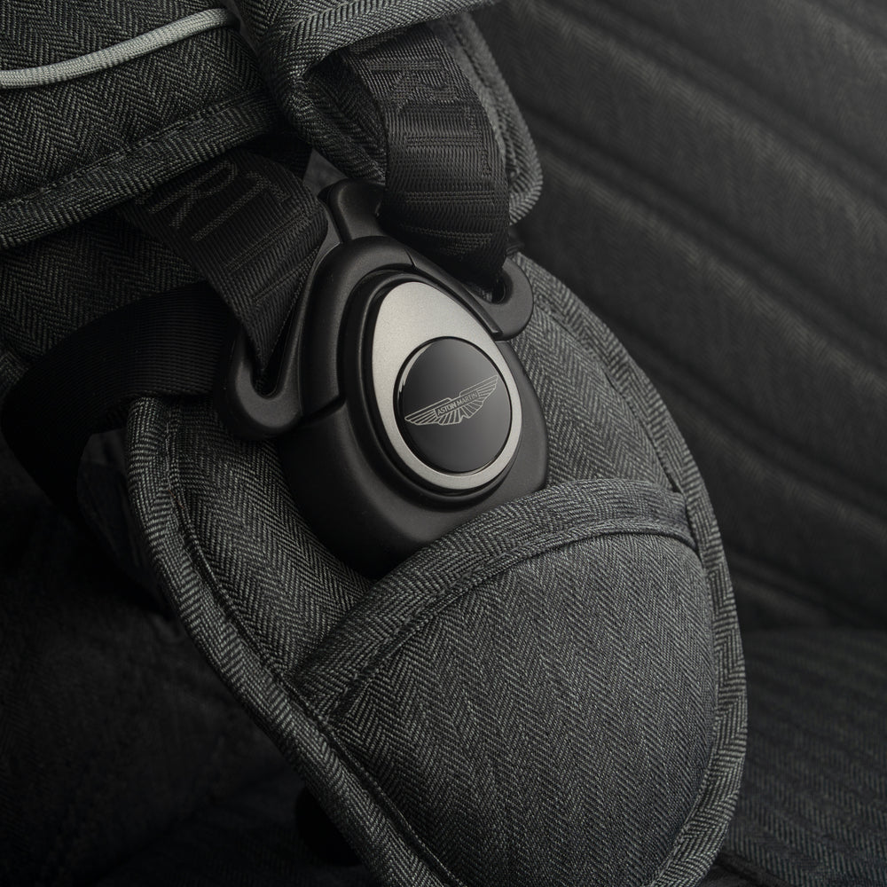 DBX707-inspired Quilting and Buckle